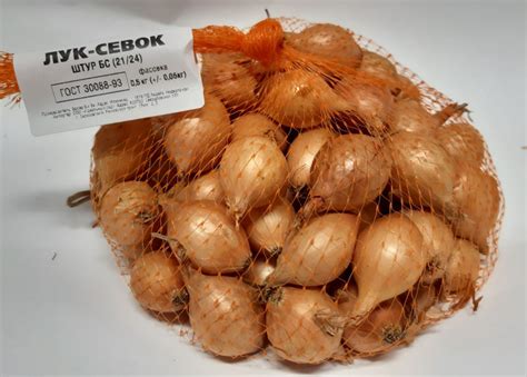 Лук Севок Сорта Описание И Фото – Telegraph