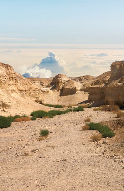 messiah cs lewis institute