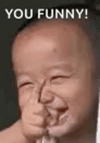 pointing laughing gif pointing laughing  discover share gifs