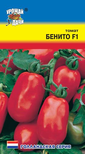 Томат Бенито: ОТЗЫВЫ (8), фото, описание и характеристика | tomatland.ru