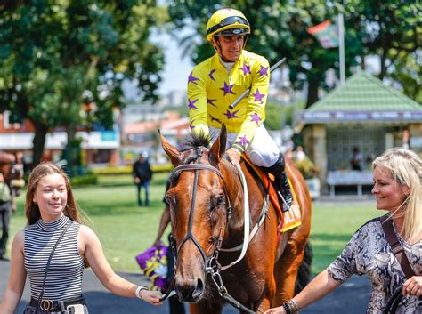 Chelsea Blue - Hollywood Racing