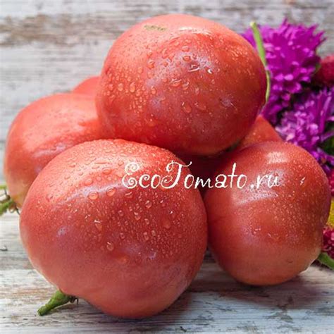 West Virginia Sweetmeat