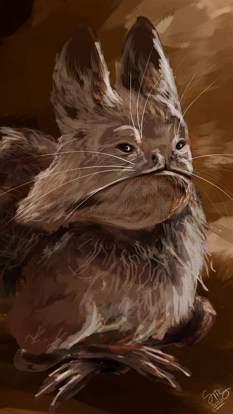 loth cat  jurasscshelds  deviantart