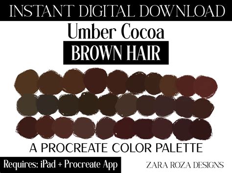 Chocolate Brown Color Swatch