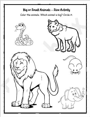 Big and small animals coloring worksheets