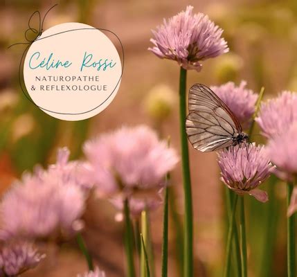 Bienvenue - Céline Rossi Naturopathe