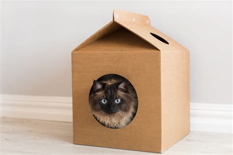 Уютный домик для кота из картонной коробки - COLLECTION-DESIGN.RU