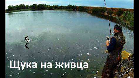 Щука на живца. - YouTube