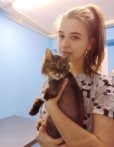 Как ухаживать за пожилой кошкой? 樂 Средняя продолжительность жизни ...
