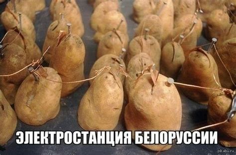 Белорусская электростанция | Пикабу