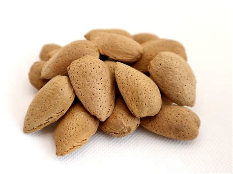 Venta de almendra con cáscara Lauranne