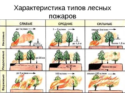 Презентация Лесные и торфяные пожары
