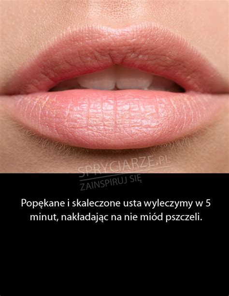 Miód na usta - Inspirujące obrazki - Spryciarze.pl