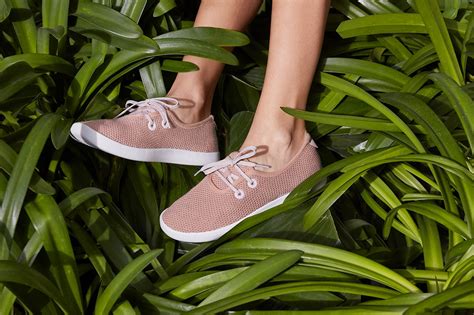 Allbirds Newest Collection Turns Trees Into Sneakers | Glamour