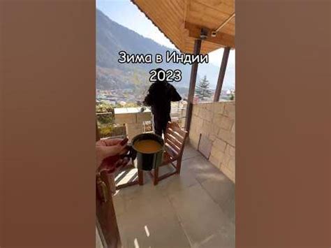 Где найти снег в Индии - YouTube