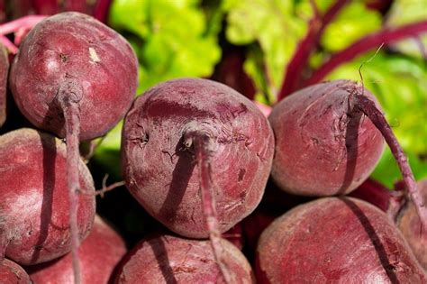 La betterave, l’atout santé de la vision des séniors - Saveurs et Vie