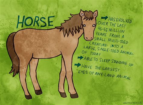 zoetrope  horse