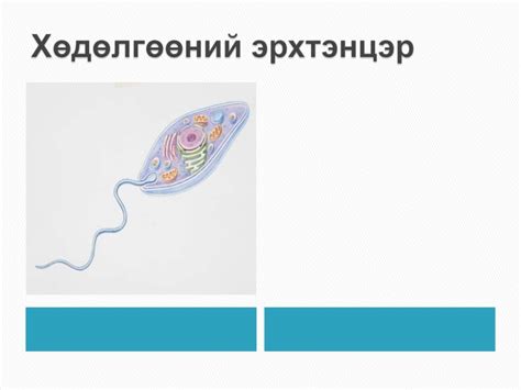 эсийн мембрант бүтэцгүй эрхтэнцэрүүд