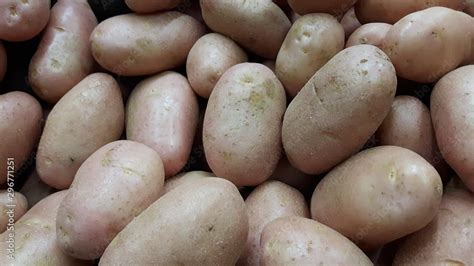 batata Stock Photo | Adobe Stock