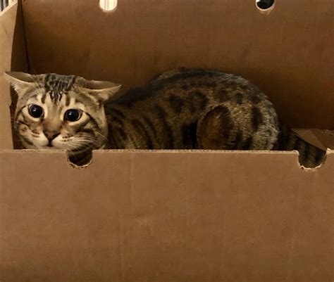 266 best Express Lane images on Pholder | Cities Skylines, Idiots In