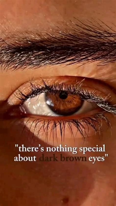 brown eyes   brown eyes aesthetic brown eye quotes