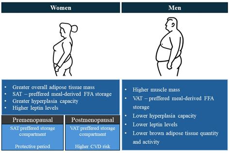 Sex- and Gender-Related Differences in Obesity: From Pathophysiological