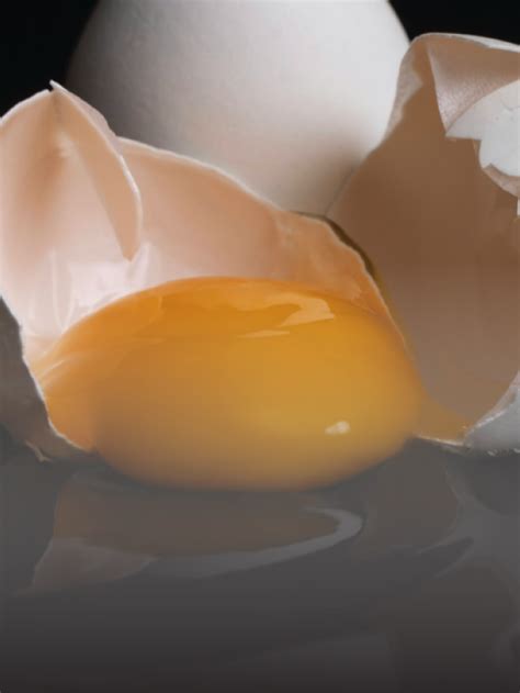 health benefits  egg yolk