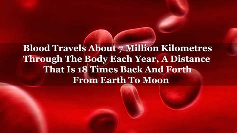 10 Unbelievable Things The Human Body Does In A Span Of Just One Year