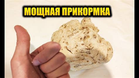 МОЩНАЯ СЕКРЕТНАЯ ПРИКОРМКА, ЛУЧШАЯ ДЛЯ РЫБАЛКИ, ПРИКОРМКА НА КАРАСЯ ...