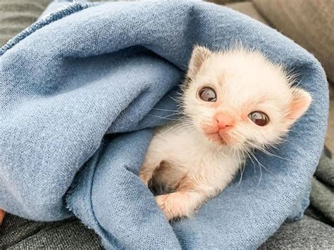 Pin on Adorable animals!
