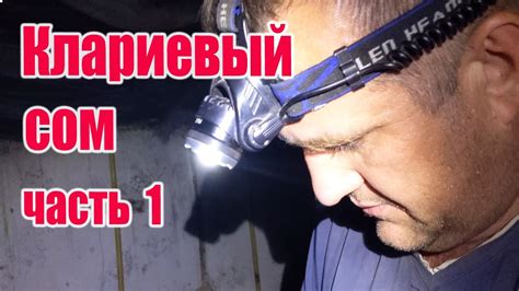Клариевый сом (часть1) - YouTube