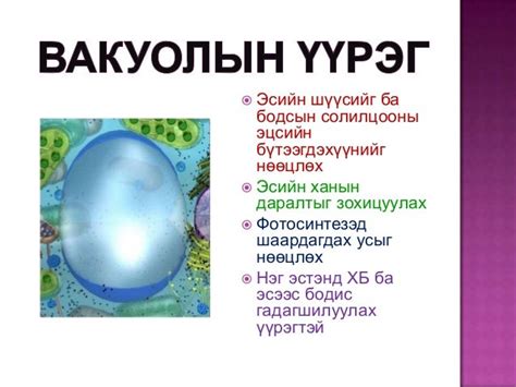 эсийн дан мембрант эрхтэ нцэрүүд