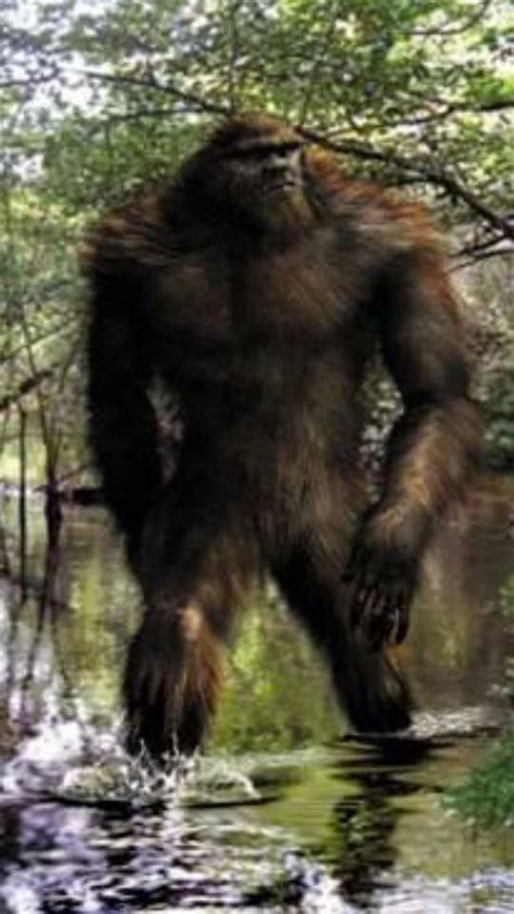 794 best SASQUATCH, I presume images on Pinterest | Bigfoot sasquatch ...
