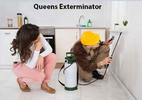 Queens Pest Control | Queens Exterminator | Pest Control