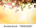 early autumn colors image  stock photo public domain photo