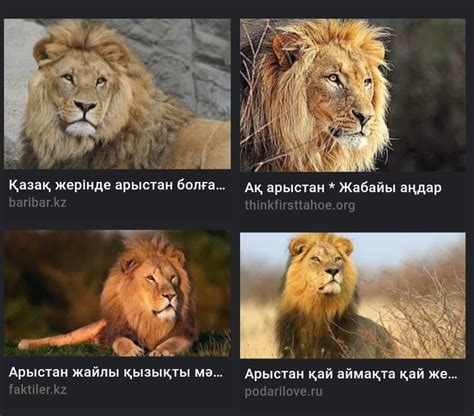 «Арыстан» сөзіне қатысты суретті көрсет. - Школьные Знания.com
