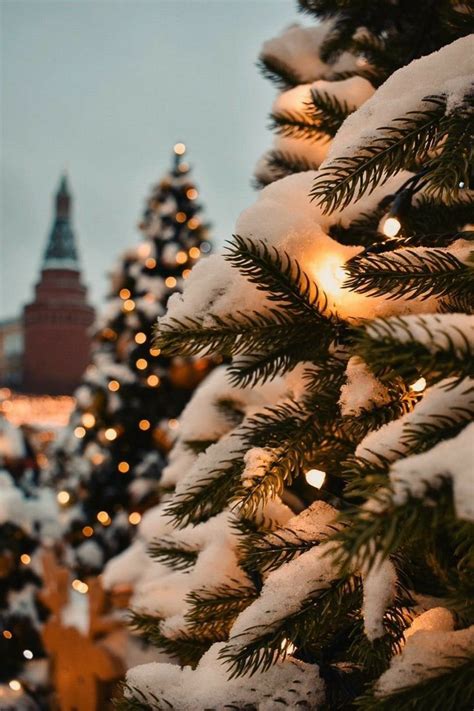 New year | Christmas lockscreen, Wallpaper iphone christmas, Winter ...