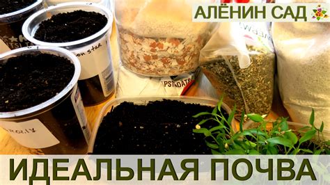 ИДЕАЛЬНАЯ ПОЧВА ДЛЯ РАССАДЫ - какая она? Мини-лекция о составе ...