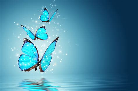 Обои lovely wallpaper