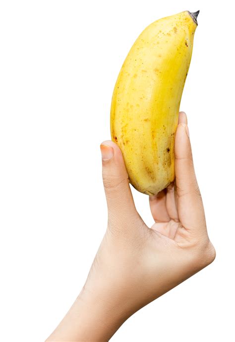 person holding  banana   hand  png