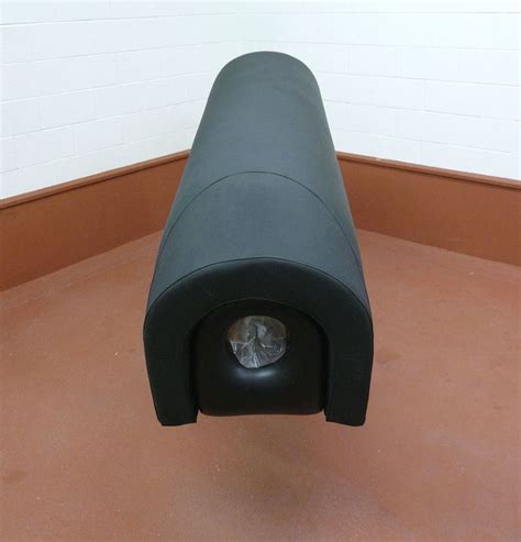 Artificial vagina - Alchetron, The Free Social Encyclopedia