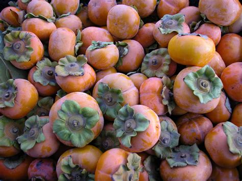 Persimmons are in Season! — California Farmers' Markets Association