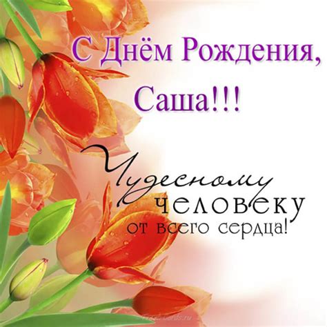 С Днем Рождения Александр (Саша): поздравления, картинки, открытки и ...
