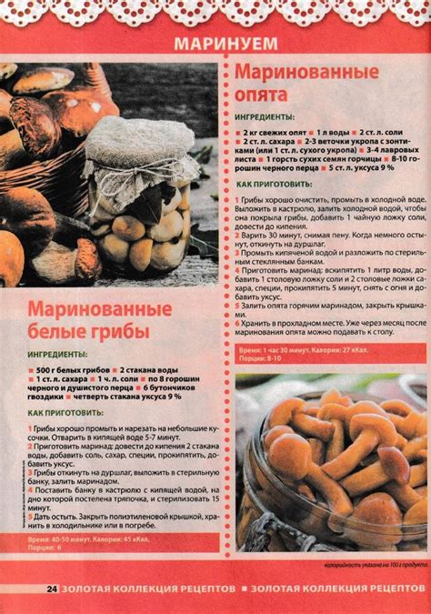 Маринованные белые грибы. Маринованные опята | ЕДА: ЗАГОТОВКА ГРИБЫ ...