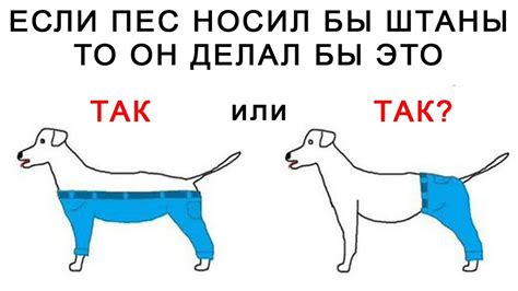 Головоломки - красивые картинки