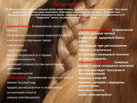 Строение волос - презентация онлайн