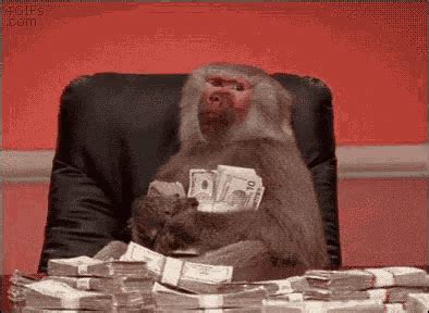 Monkey With Money Happy Withmoney GIF - Monkey With Money Happy ...