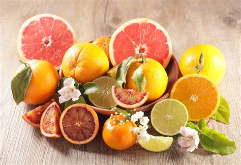 citrus fruits   joel donovan blog