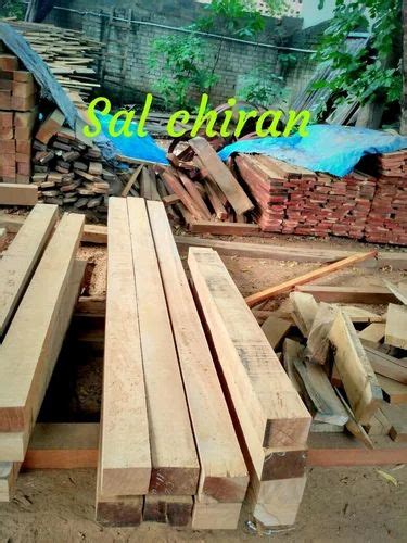 Sal Wood at best price in Katihar by M K Enterprises | ID: 16405643312