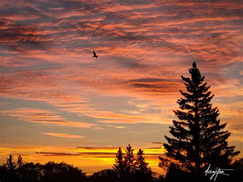 guess     zoom lens   sunset  sunrise rnote